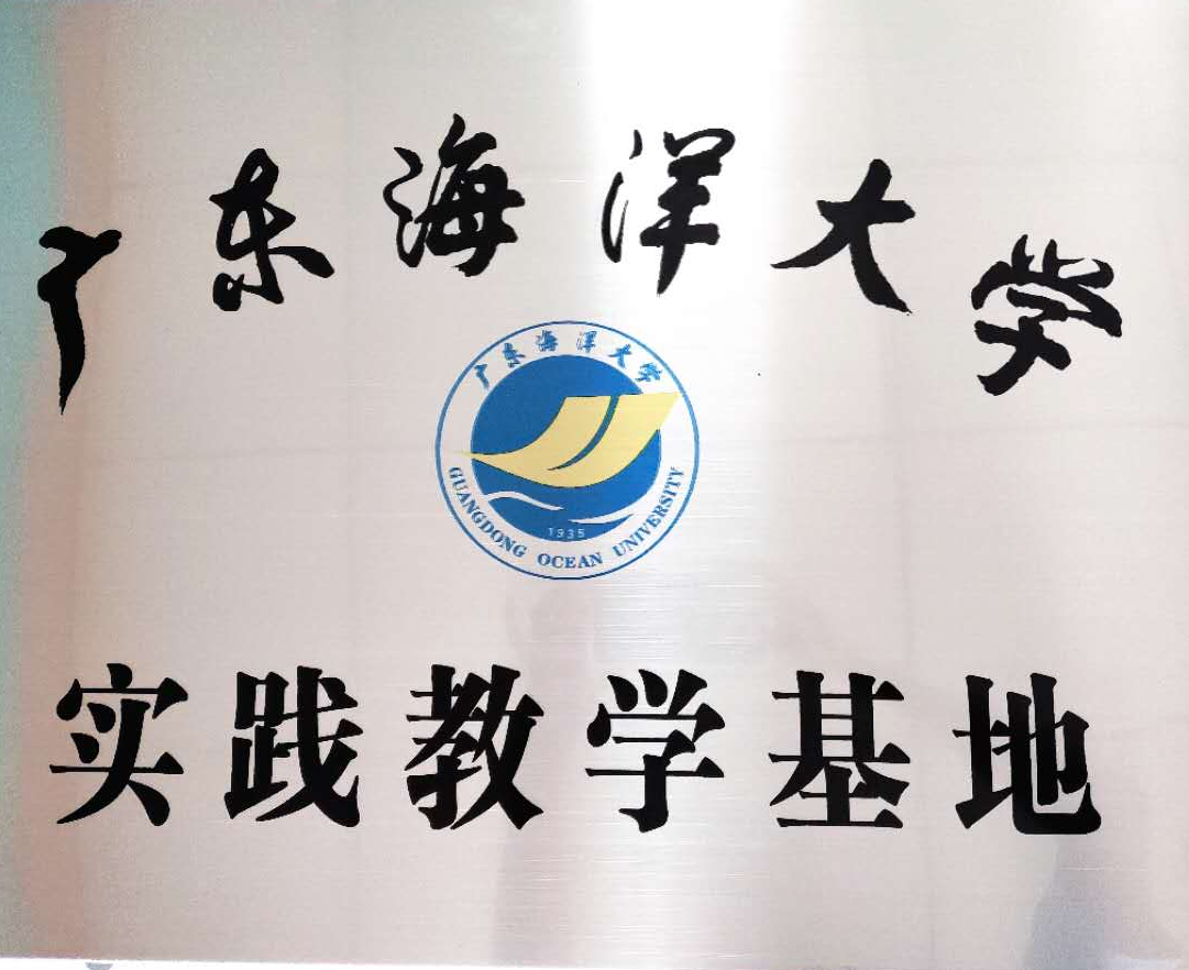 荣誉证书5
