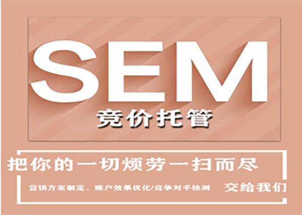 SEM-6.jpg
